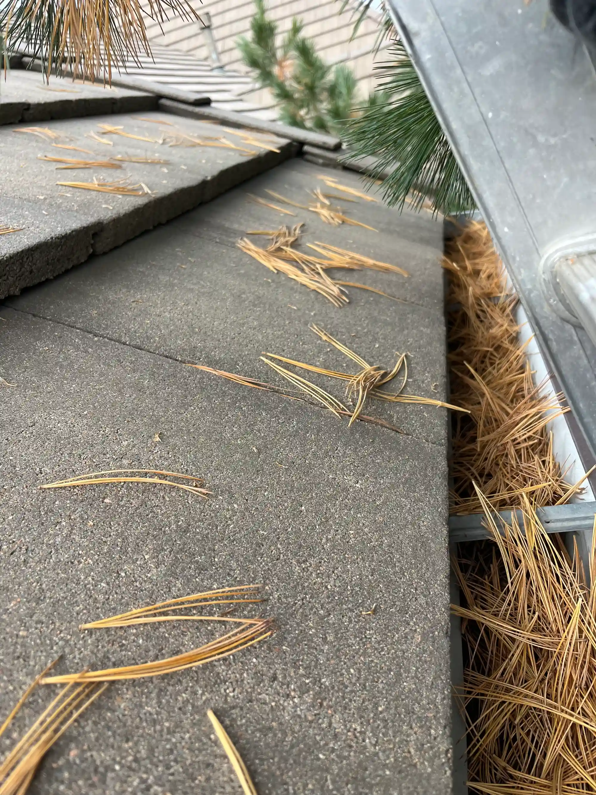 Fort Comfort Gutters before photo